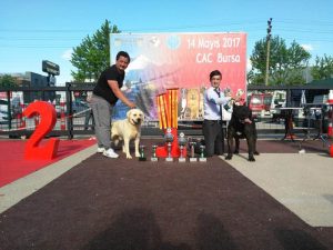  Bursa National dog show