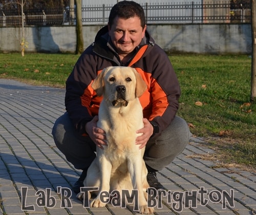 Lab'R Team Brighton