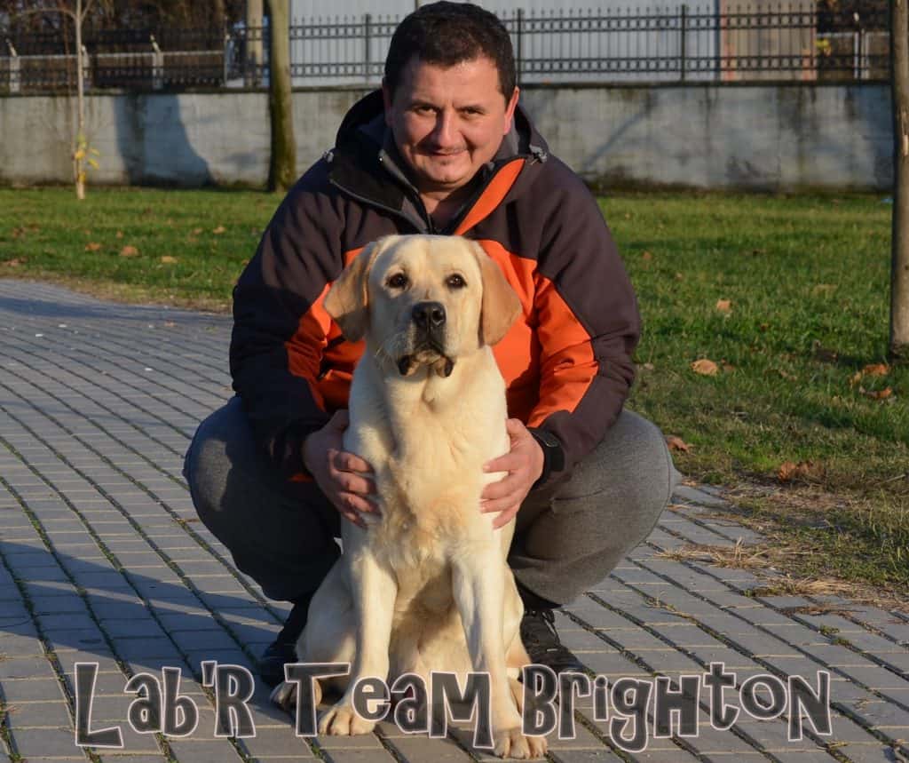 Lab'R Team Brighton