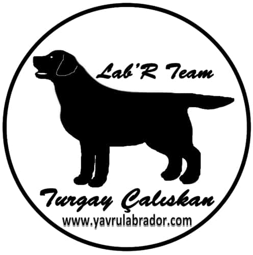 Secere Nedir Lab R Team Turkey