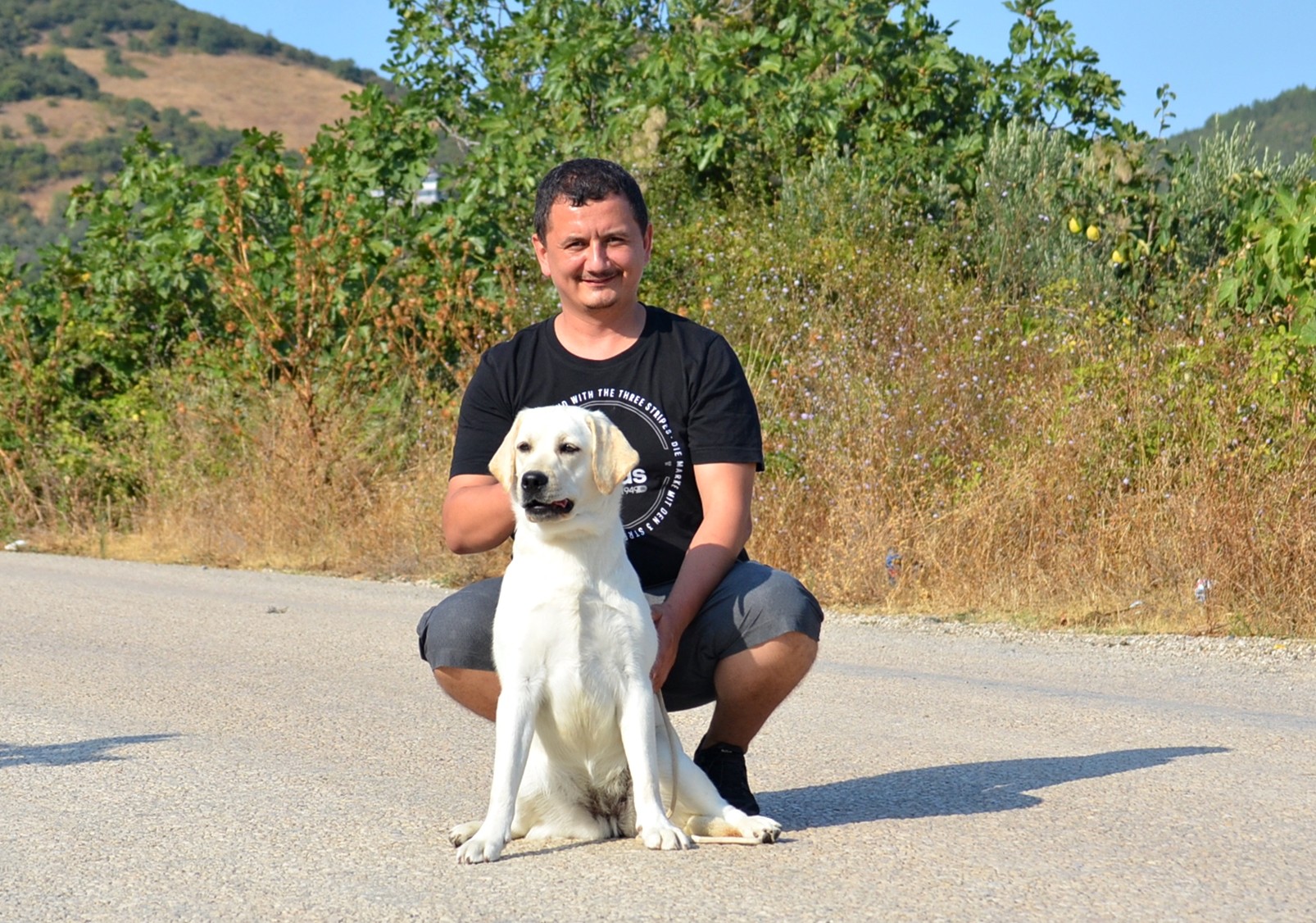 Damızlıklarımız - Labrador Retriever Turkey