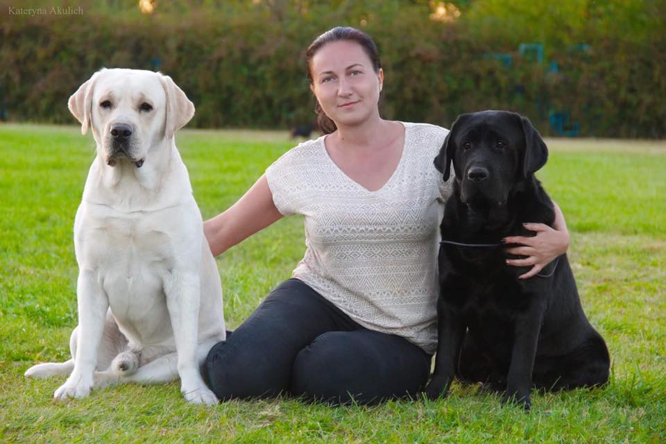 dünya şampiyonu labrador