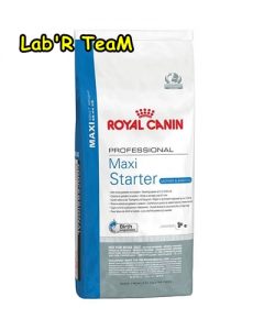 royal canin maxi starter köpek maması