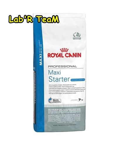 royal canin maxi starter köpek maması